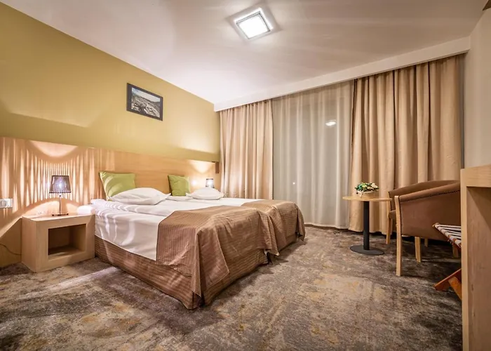 Poiana Brasov hotels near Ruia